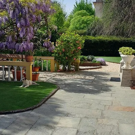 Villa Lina Cremona Exterior foto